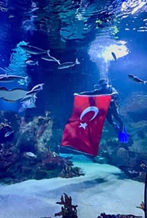Su Altı Bayrak Açma Gösterileri